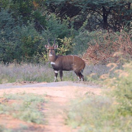 Ngangane Lodge & Reserve Francistown Ngoại thất bức ảnh