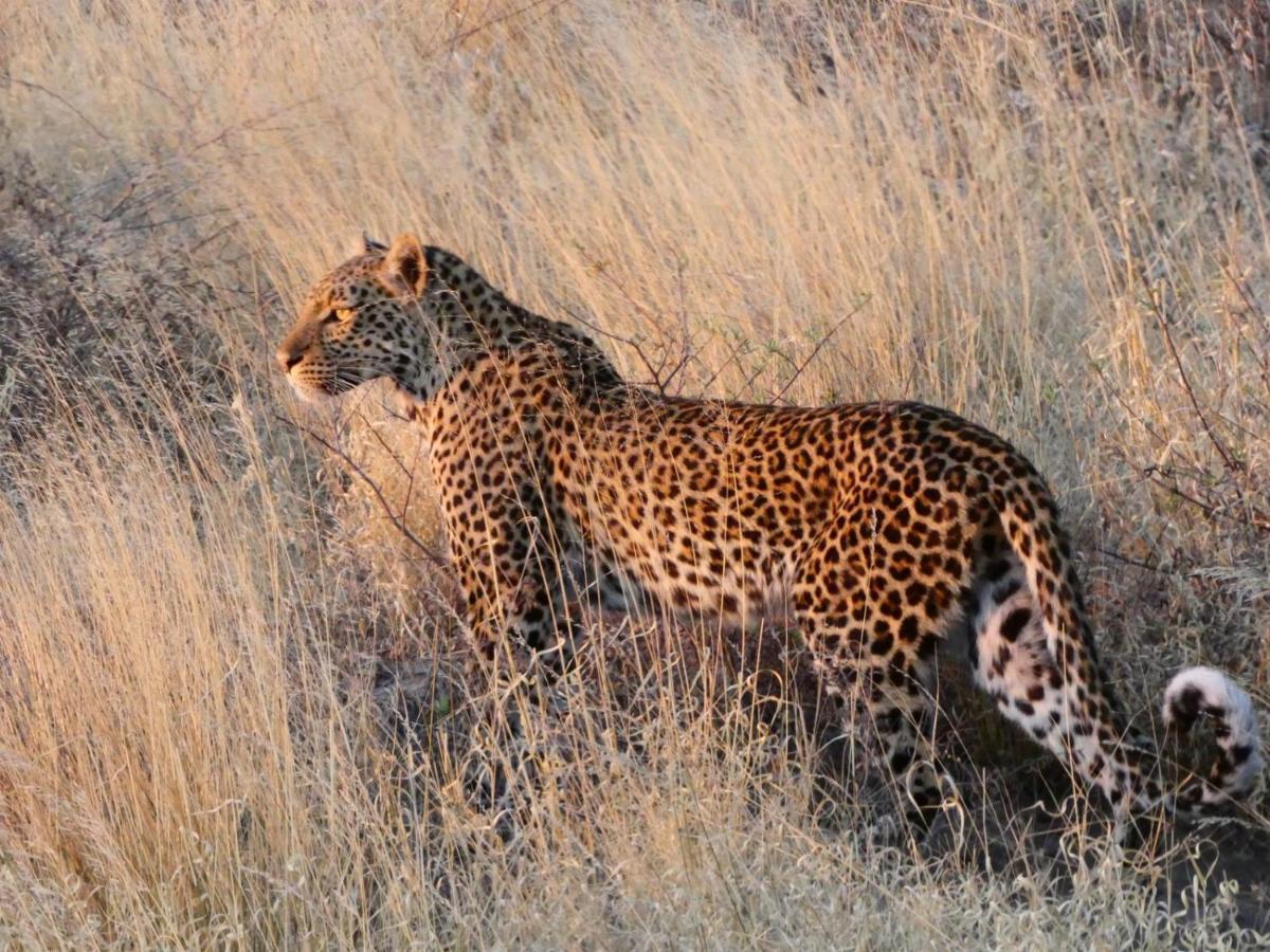 Ngangane Lodge & Reserve Francistown Ngoại thất bức ảnh