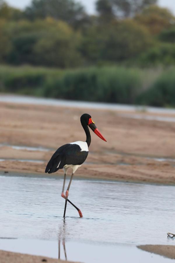 Ngangane Lodge & Reserve Francistown Ngoại thất bức ảnh