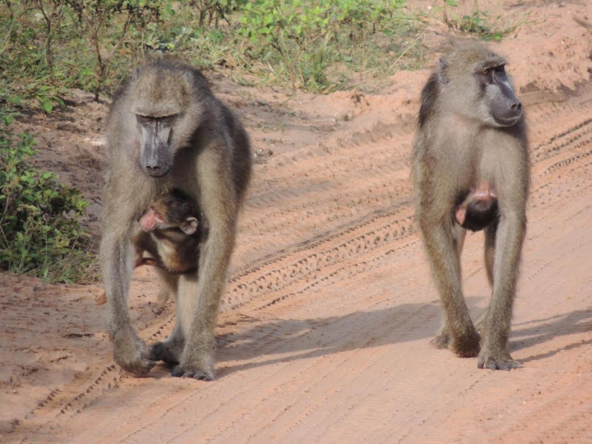 Ngangane Lodge & Reserve Francistown Ngoại thất bức ảnh