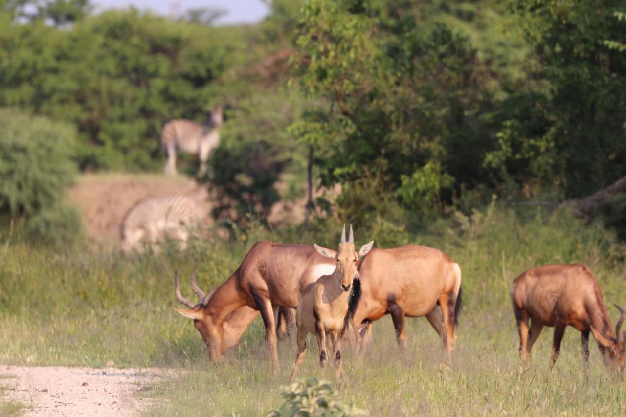 Ngangane Lodge & Reserve Francistown Ngoại thất bức ảnh