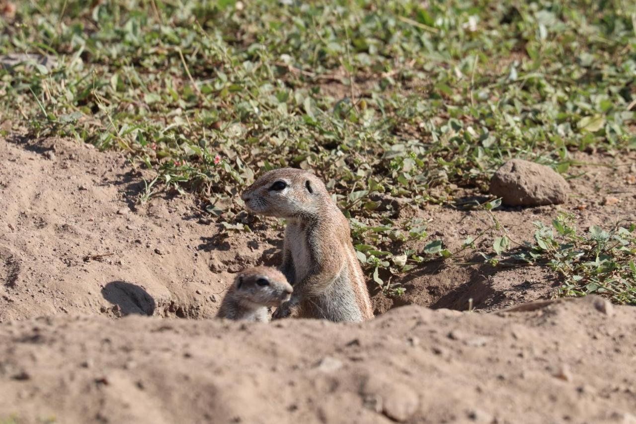 Ngangane Lodge & Reserve Francistown Ngoại thất bức ảnh